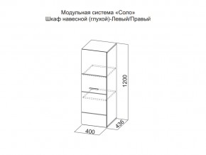 Шкаф навесной (глухой) Левый в Красноуфимске - krasnoufimsk.магазин96.com | фото