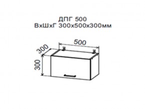 Шкаф верхний ДПГ500 горизонтальный в Красноуфимске - krasnoufimsk.магазин96.com | фото