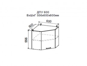 Шкаф верхний ДПУ600 угловой в Красноуфимске - krasnoufimsk.магазин96.com | фото